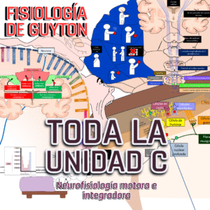 PRESENTACIONES COMPLETAS de UNIDAD C: Neurofisiología motora e integradora