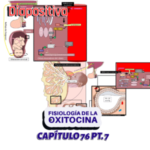 PRESENTACIÓN COMPLETA l Fisiología de Guyton l CAP 76 PT 7: Fisiología de la oxitocina