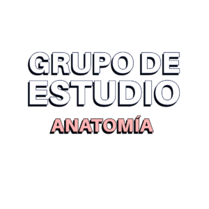 Grupo de estudio #1 de Anatomía