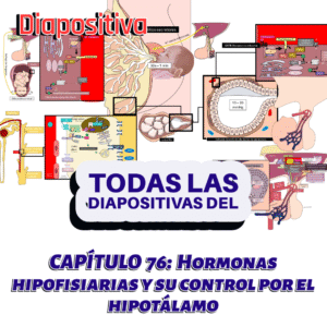 PRESENTACIONES COMPLETAS l Fisiología de Guyton l TODO el capítulo 76 l Hormonas hipofisiarias y su control por el hipotálamo