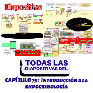 PRESENTACIONES COMPLETAS l Fisiología de Guyton l TODO el capítulo 75 l Introducción a la endocrinología