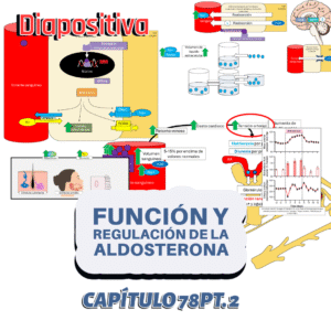 PRESENTACIÓN COMPLETA l Fisiología de Guyton l CAP 78 PT 2: Función y regulación de la aldosterona